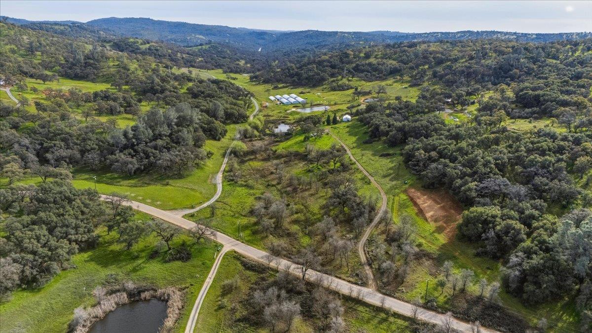 22545 Perimeter Road Grass Valley, CA 95949 - Photo 6 of 31 a view of a forest with a forest