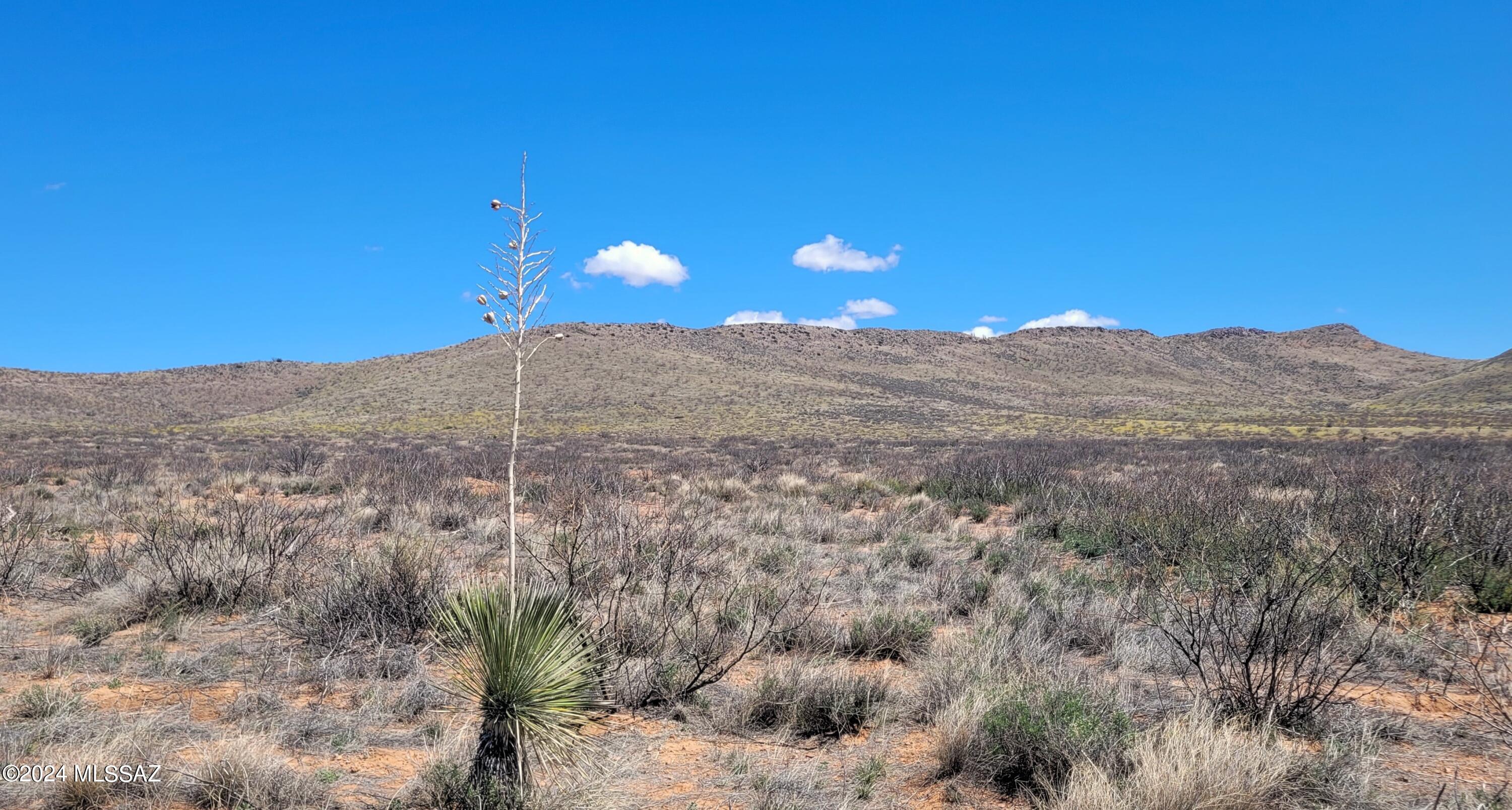 20 Ac Off Mule Deer Road Pearce, AZ 85625 - Photo 10 of 19
