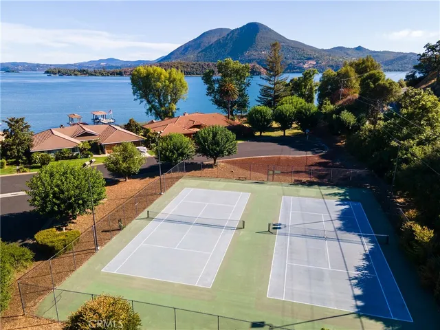 a view of a swimming pool with some plants and trees