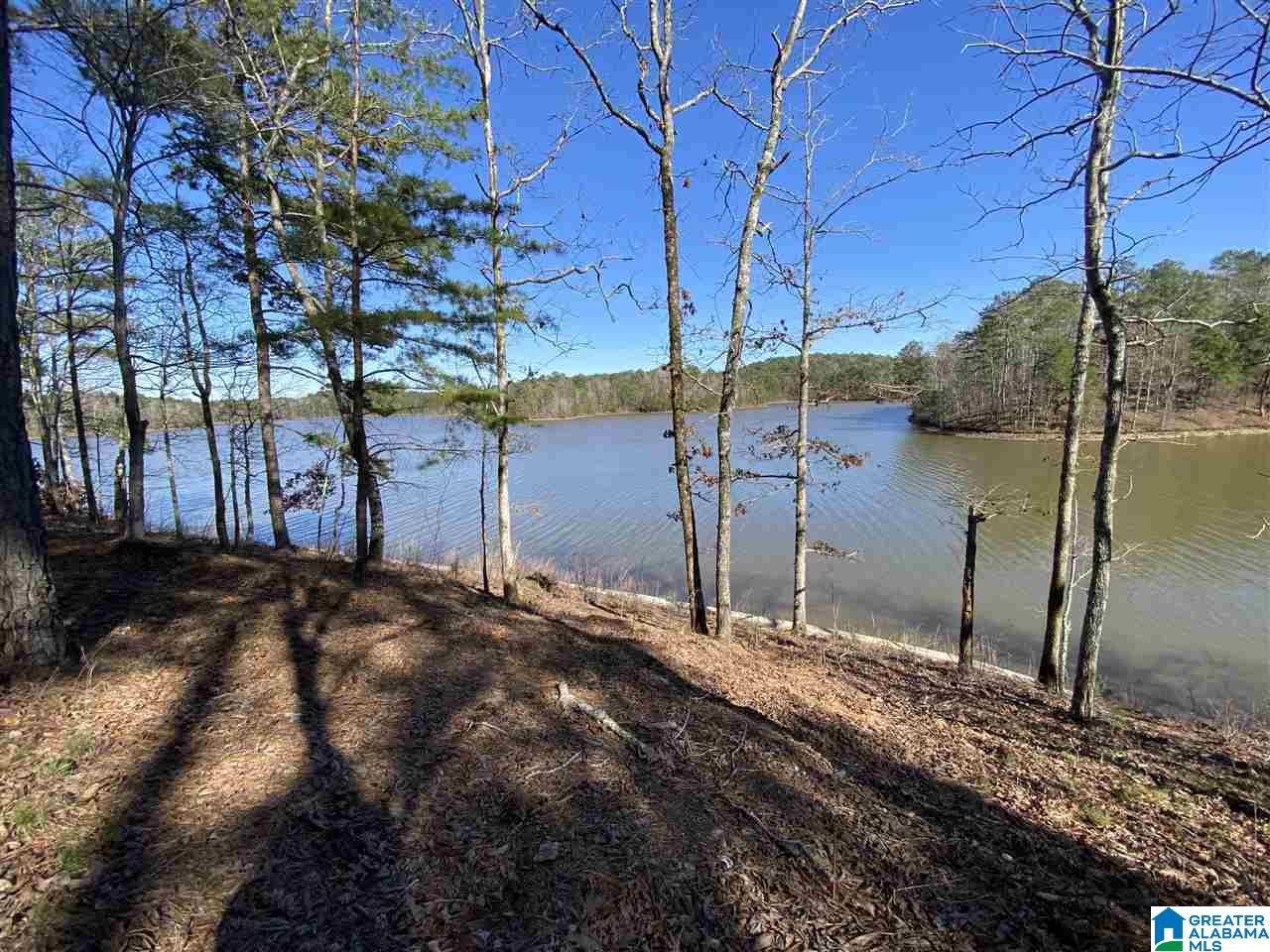Creek Trail, Unit 47 Wedowee, AL 36278 - Photo 2 of 6