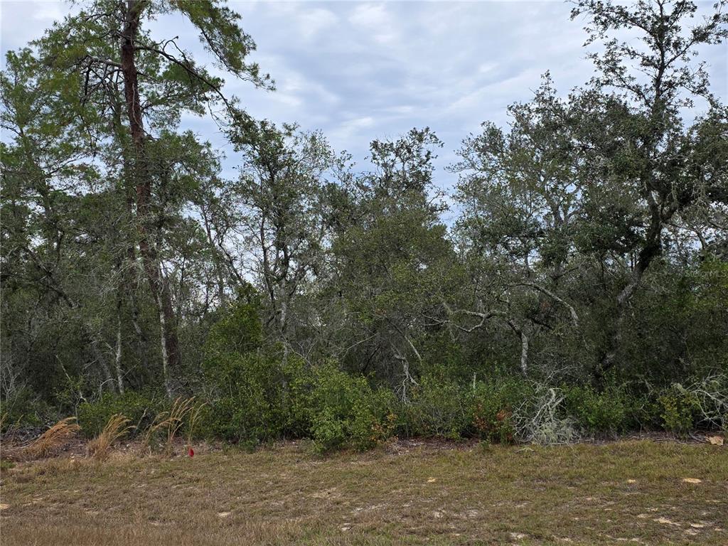 165 Southwest Street Road Ocala, FL 34473 - Photo 1 of 6 Gallery Image 1