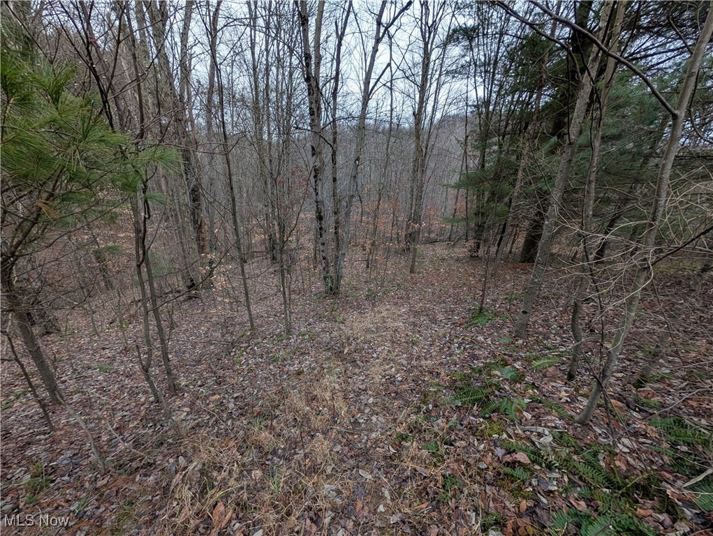Brown Peavine Road Alledonia, OH 43902 - Photo 29 of 50