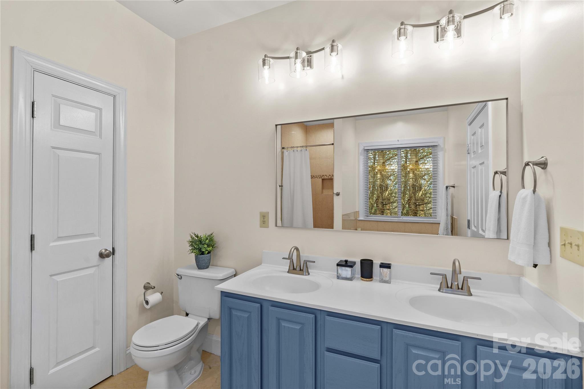 131 Morrison Hill Road Davidson, NC 28036 - Photo 28 of 47 a bathroom with a granite countertop sink a toilet and a mirror