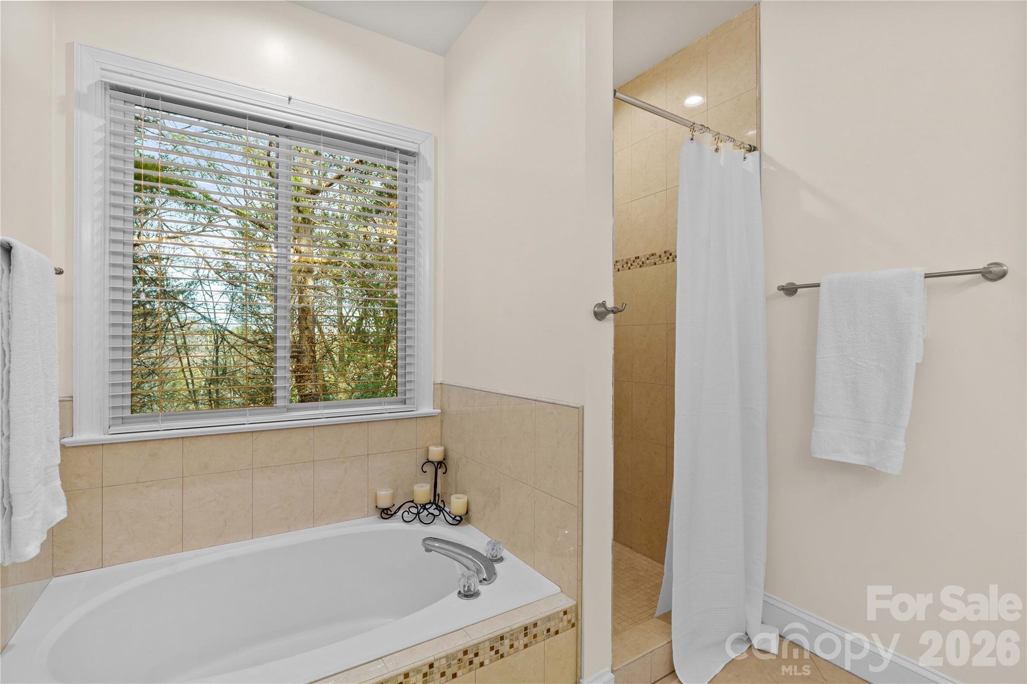 131 Morrison Hill Road Davidson, NC 28036 - Photo 29 of 47 a bathroom with a tub and shower