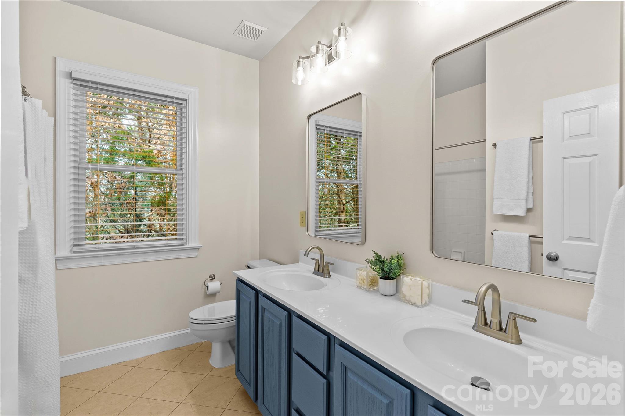 131 Morrison Hill Road Davidson, NC 28036 - Photo 33 of 47 a bathroom with double vanity sink a mirror and a toilet