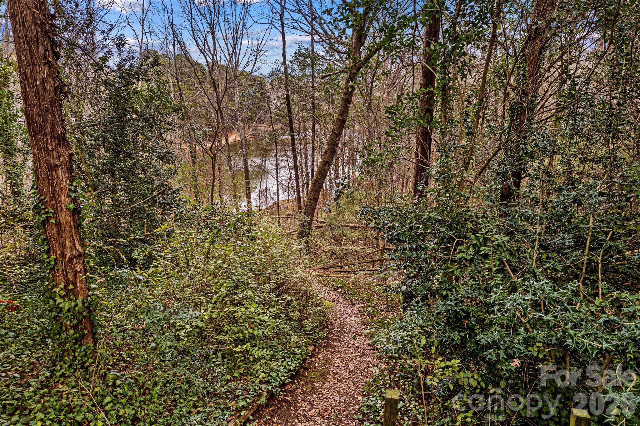 131 Morrison Hill Road Davidson, NC 28036 - Photo 40 of 47 a close up of a tree