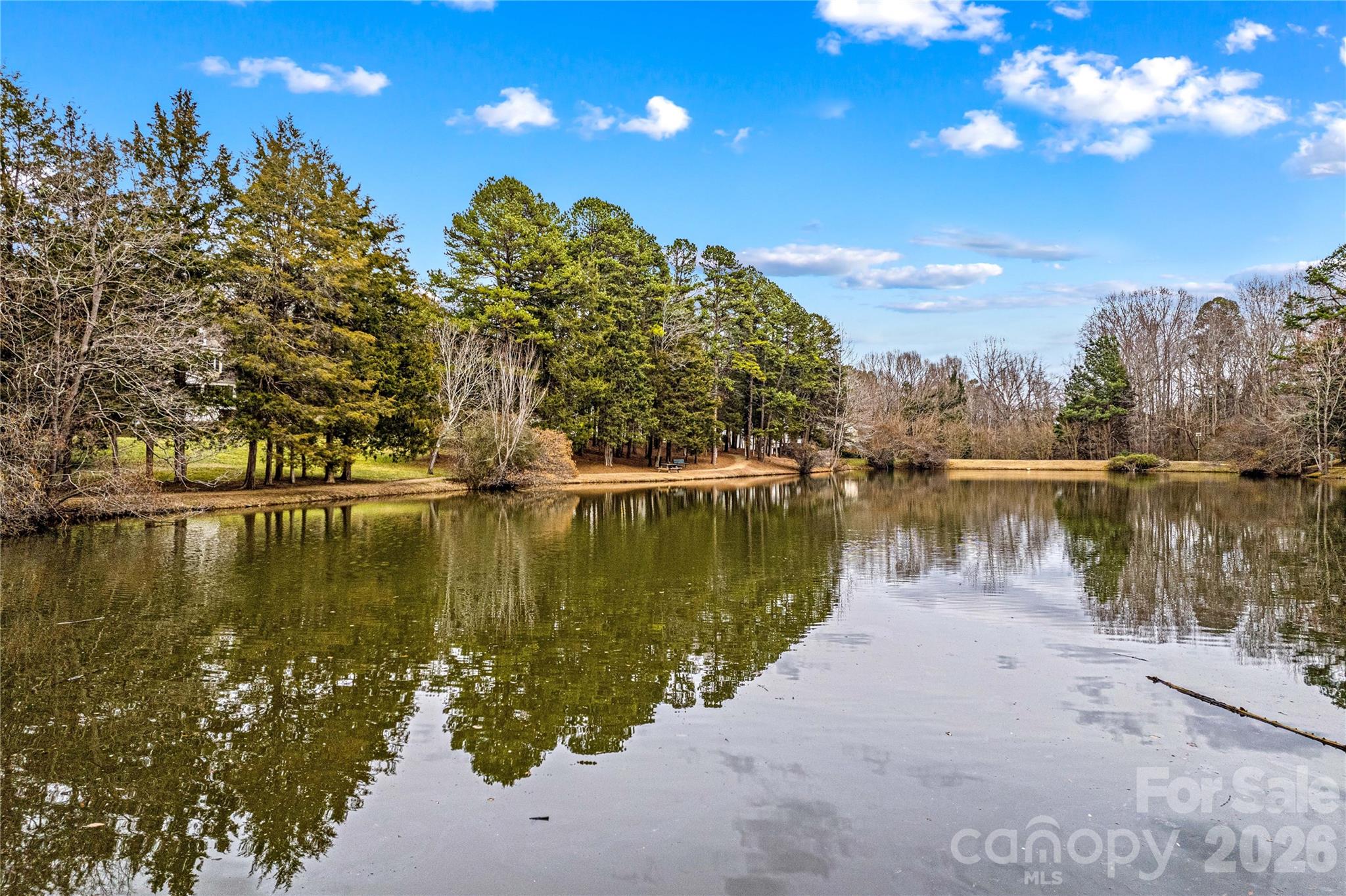 131 Morrison Hill Road Davidson, NC 28036 - Photo 46 of 47 a view of a lake in between two of trees