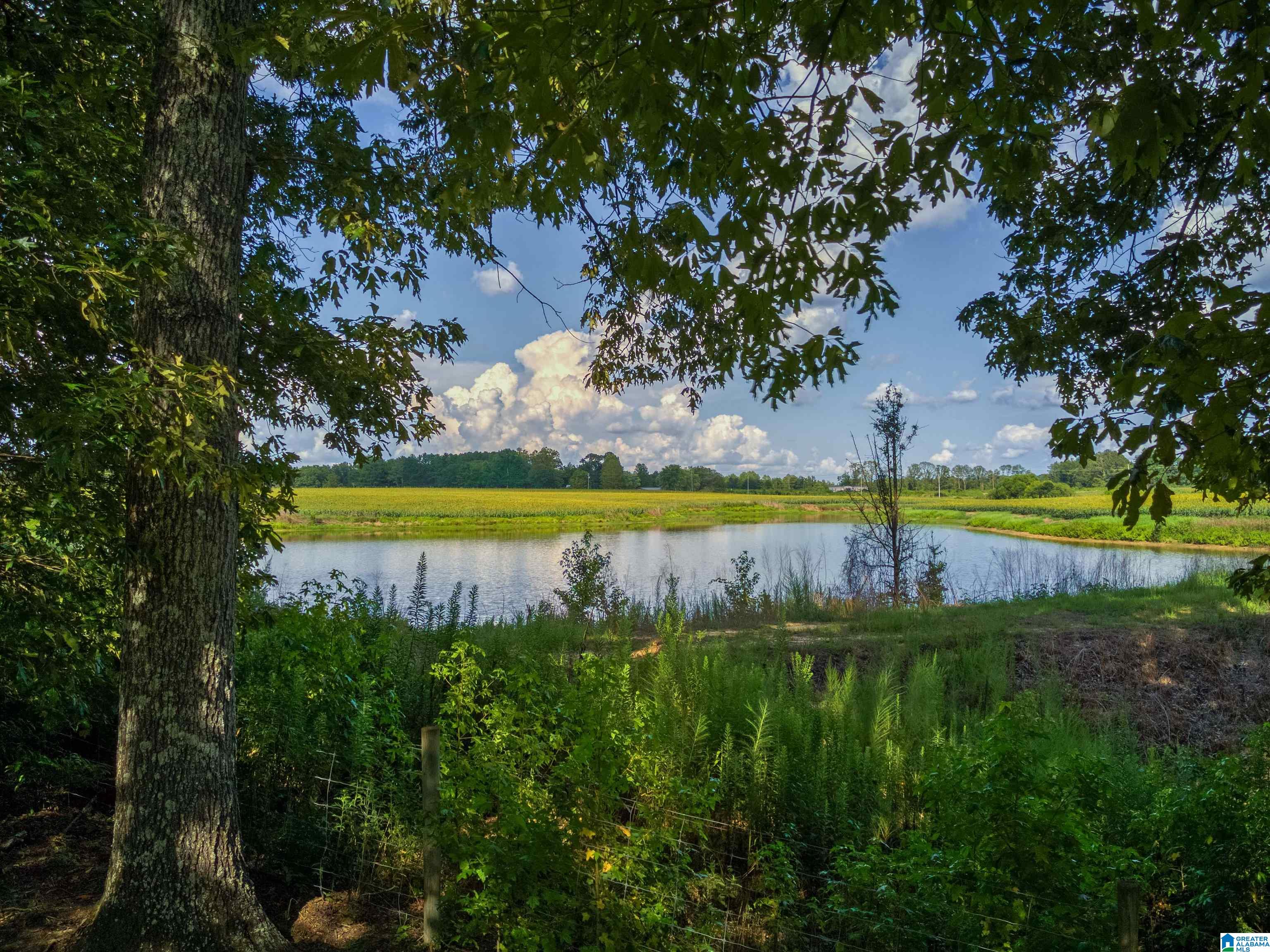 3901 Turkey Run Jasper, AL 35504 - Photo 23 of 62