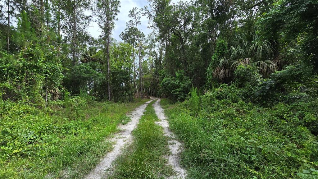 150 Hunter Road Palatka, FL 32177 - Photo 32 of 35