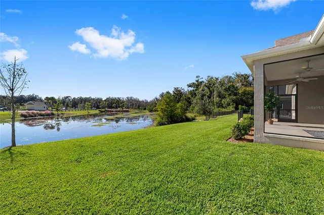 a view of a swimming pool with a yard