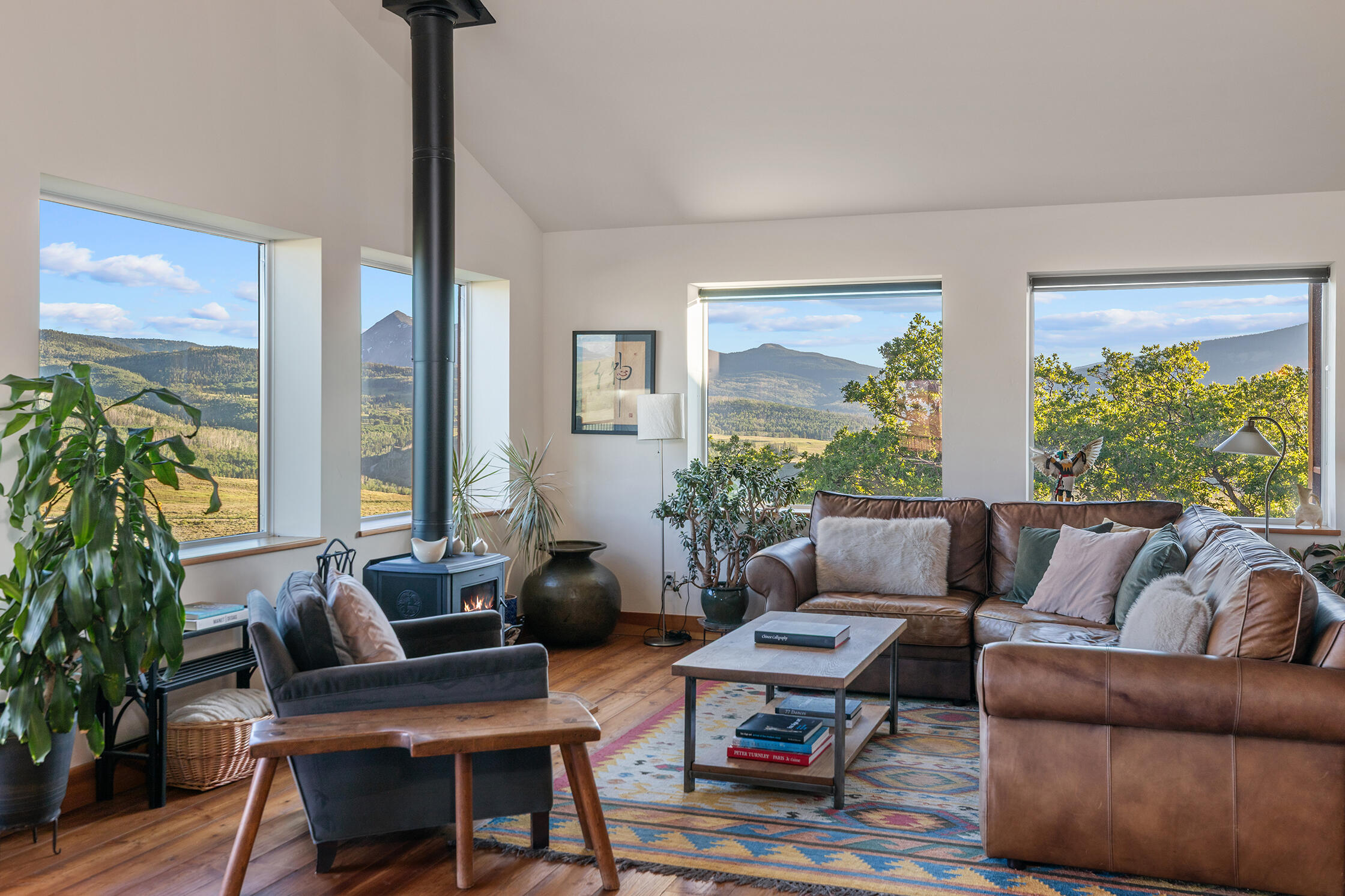30 Whiteley Road Placerville, CO 81430 - Photo 17 of 97 SUMMER