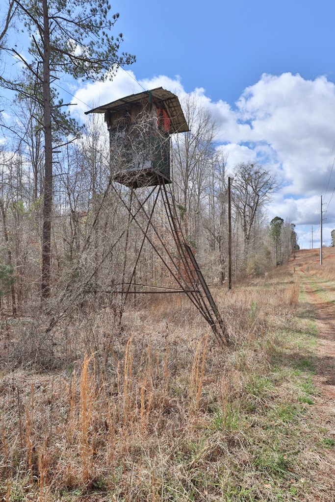 0 Irvin Road Shiloh, GA 31826 - Photo 20 of 46 Gallery Image 20