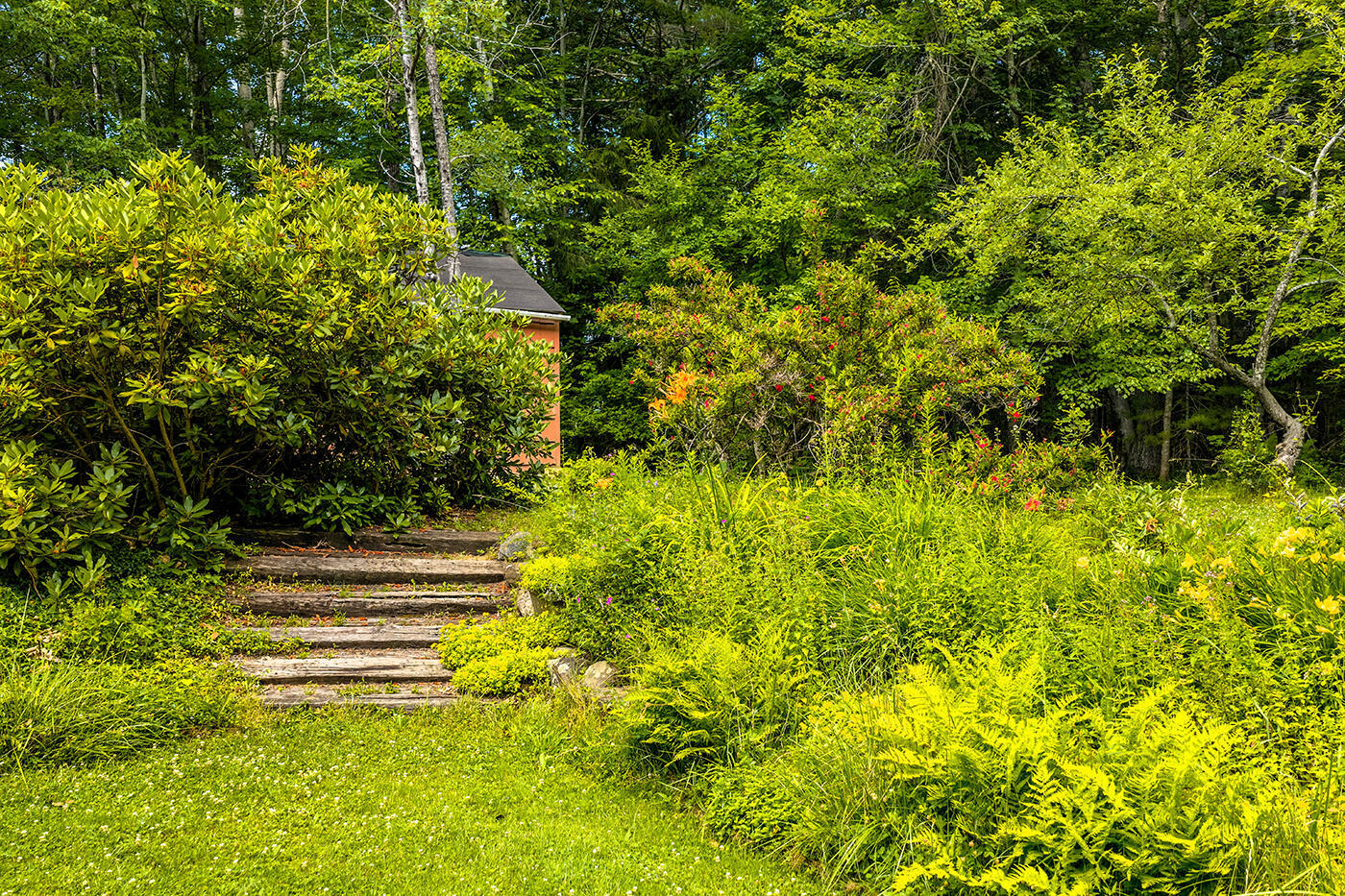345 Buzzell Hill Road Hope, ME 04847 - Photo 30 of 32 DJI_20260709142719_0131_D