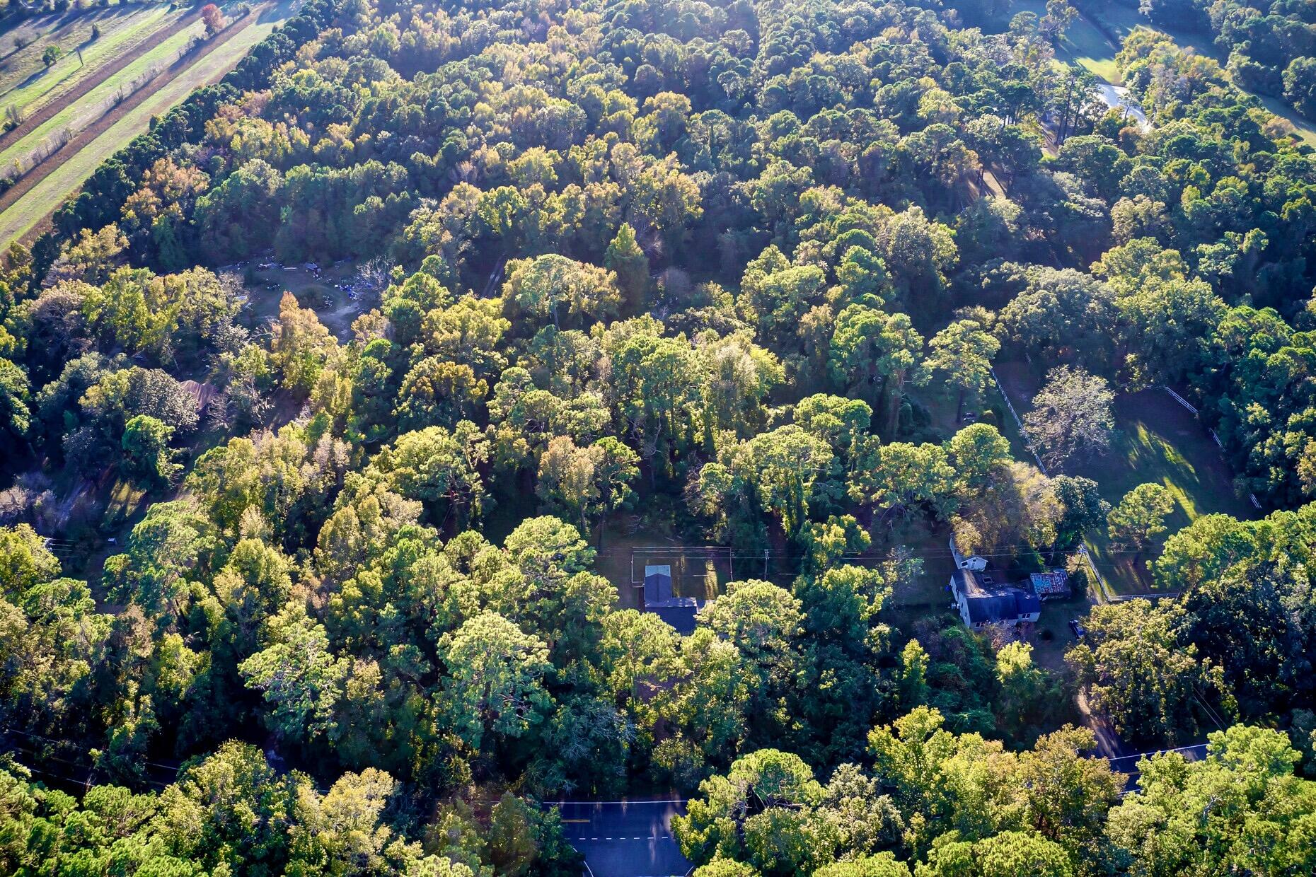 2222 River Road Johns Island, SC 29455 - Photo 31 of 34 9C459F28-B277-401F-9923-EEA05922FE90_1_2