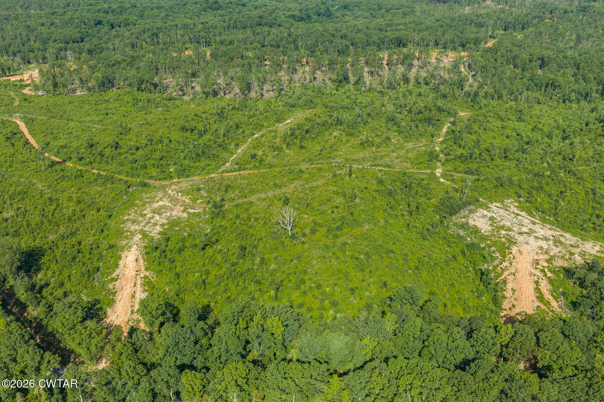 0 Coxburg Road Holladay, TN 38341 - Photo 9 of 14 DJI_20260613092742_0044_D