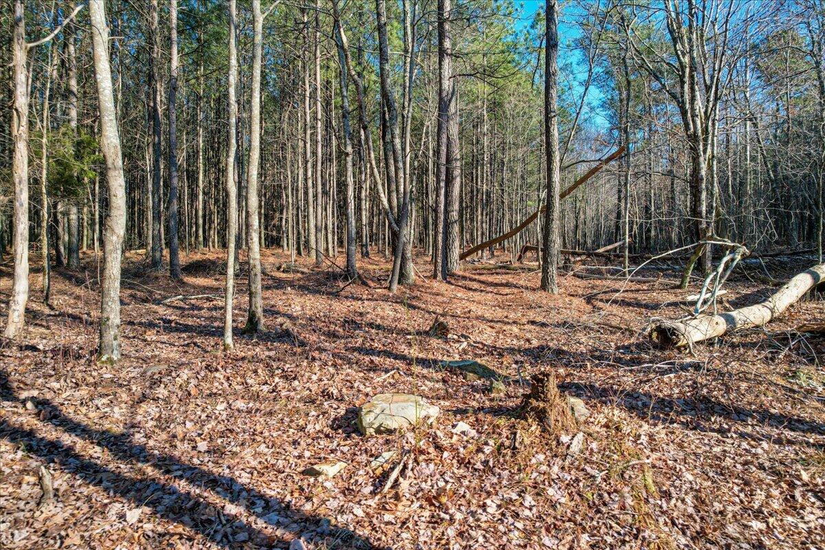 0 Raulston Falls Drive, Unit JF116 Jasper, TN 37347 - Photo 11 of 44 41-Jasper Farms 116-7