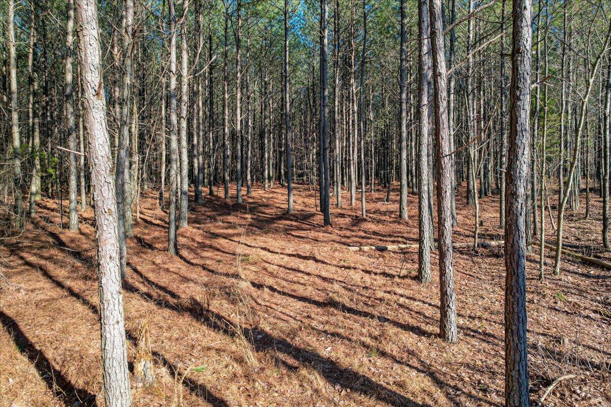 0 Raulston Falls Drive, Unit JF116 Jasper, TN 37347 - Photo 12 of 44 40-Jasper Farms 116-6