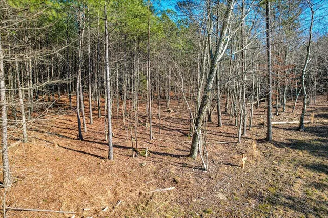 $109,900 | 0 Raulston Falls Drive, Unit JF116, Jasper, TN 37347