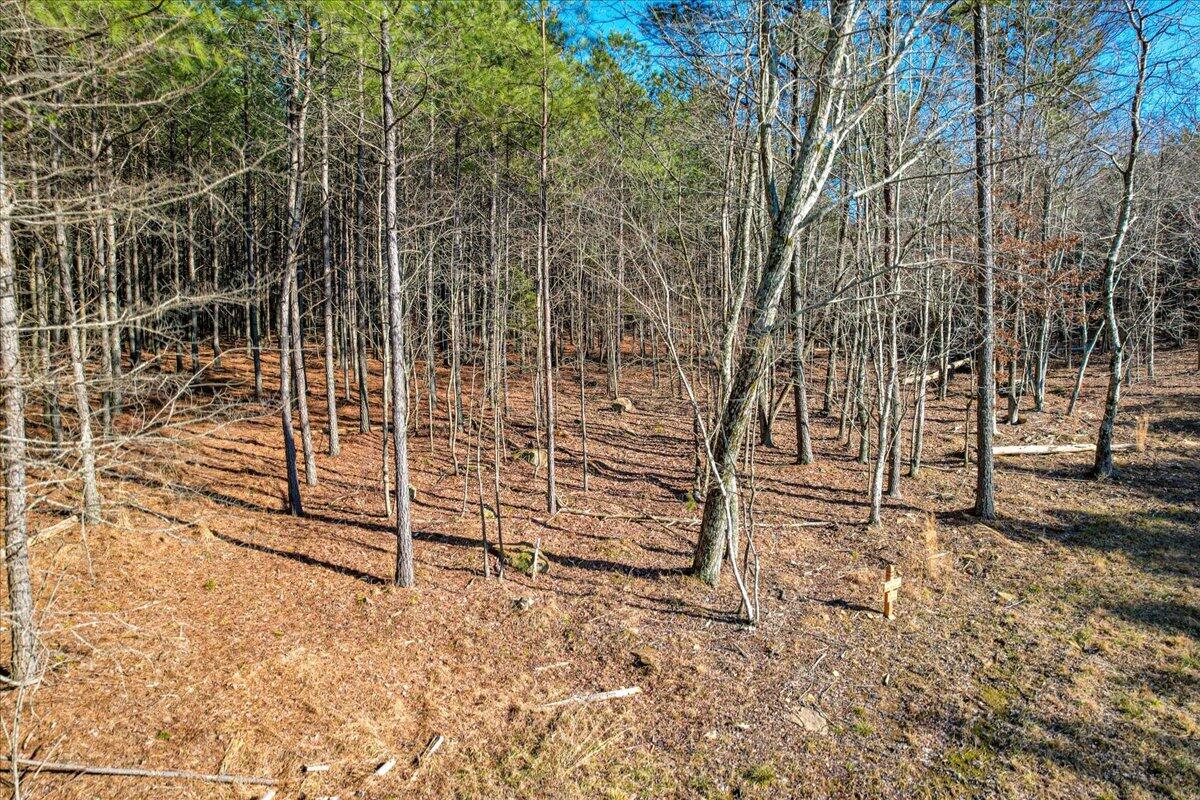 0 Raulston Falls Drive, Unit JF116 Jasper, TN 37347 - Photo 13 of 44 39-Jasper Farms 116-5