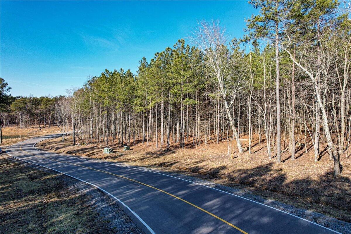 0 Raulston Falls Drive, Unit JF116 Jasper, TN 37347 - Photo 14 of 44 38-Jasper Farms 116-4