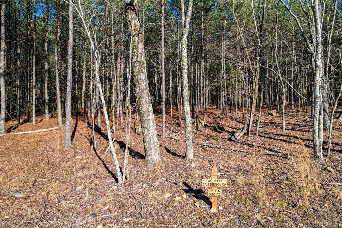 0 Raulston Falls Drive, Unit JF116 Jasper, TN 37347 - Photo 16 of 44 36-Jasper Farms 116-2