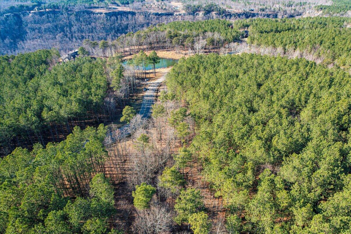 0 Raulston Falls Drive, Unit JF116 Jasper, TN 37347 - Photo 5 of 44 48-Jasper Farms 116-14