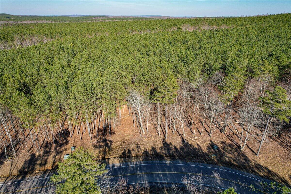 0 Raulston Falls Drive, Unit JF116 Jasper, TN 37347 - Photo 7 of 44 46-Jasper Farms 116-12