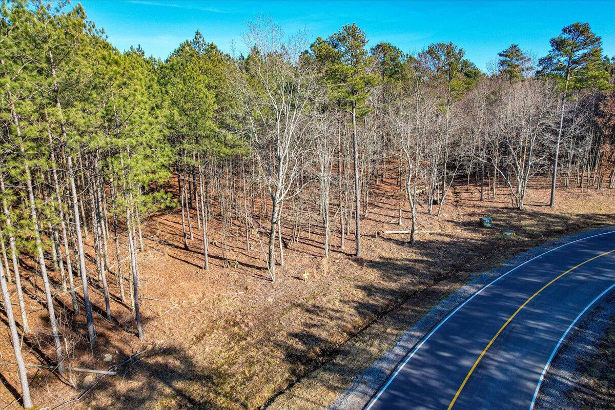 0 Raulston Falls Drive, Unit JF116 Jasper, TN 37347 - Photo 9 of 44 44-Jasper Farms 116-10