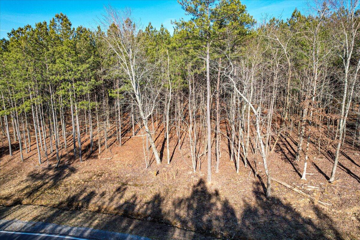 0 Raulston Falls Drive, Unit JF116 Jasper, TN 37347 - Photo 10 of 44 43-Jasper Farms 116-9