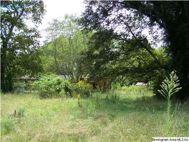 2231 Camp Brownie Road, Unit 5 AC Sylacauga, AL 35151 - Photo 10 of 15