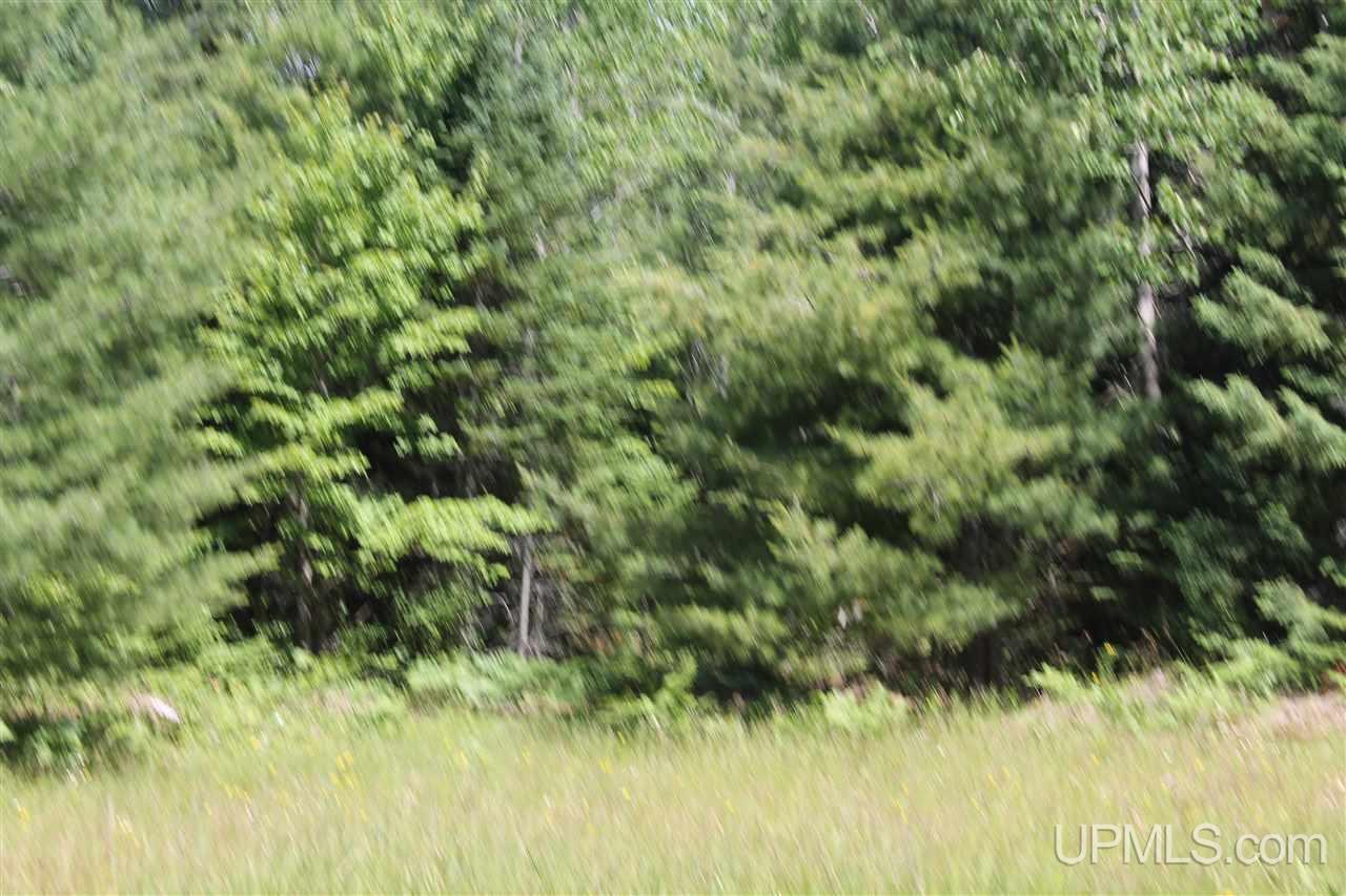 2476 Carlson Road Manistique, MI 49854 - Photo 35 of 46 Gallery Image 35