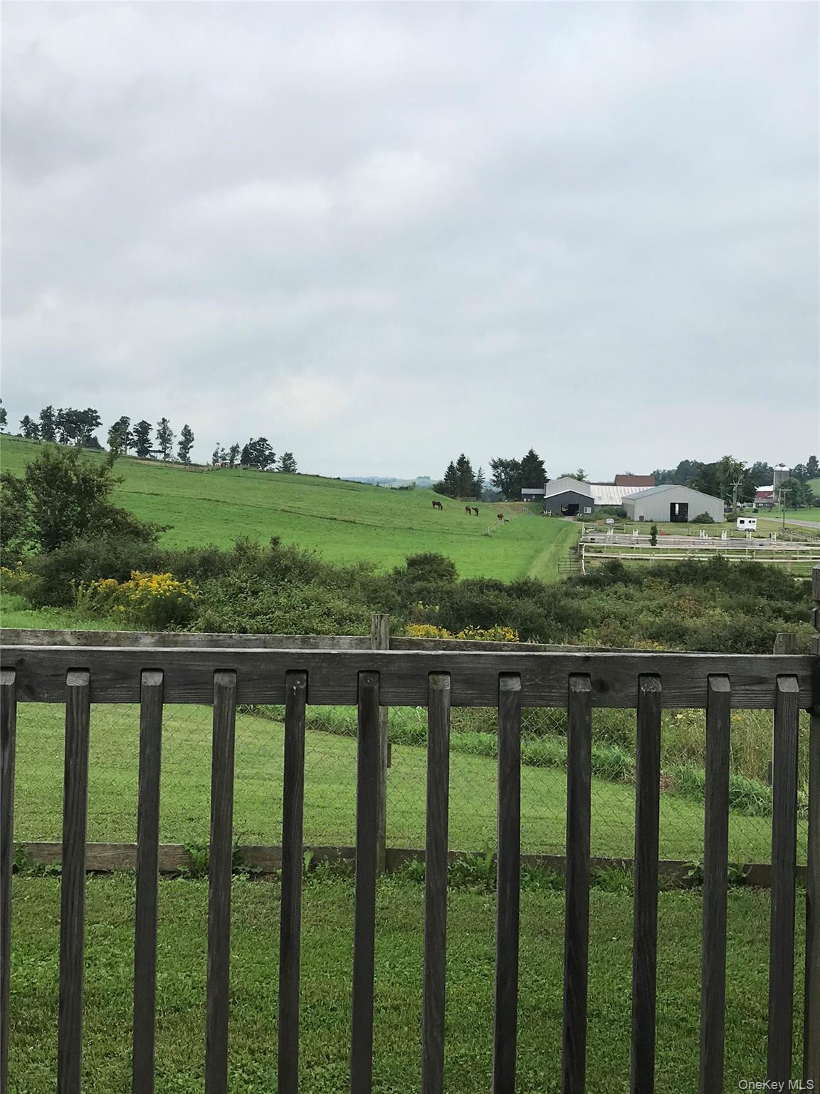 471 Youngs Road Jordanville, NY 13361 - Photo 6 of 12 a view of balcony and yard