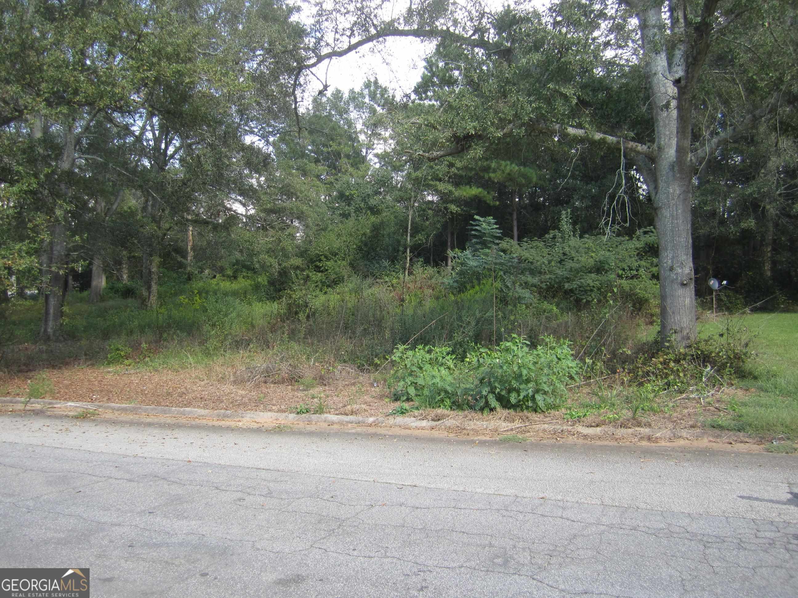 0 Brown Barnesville, GA 30204 - Photo 1 of 1 a view of a yard with a tree