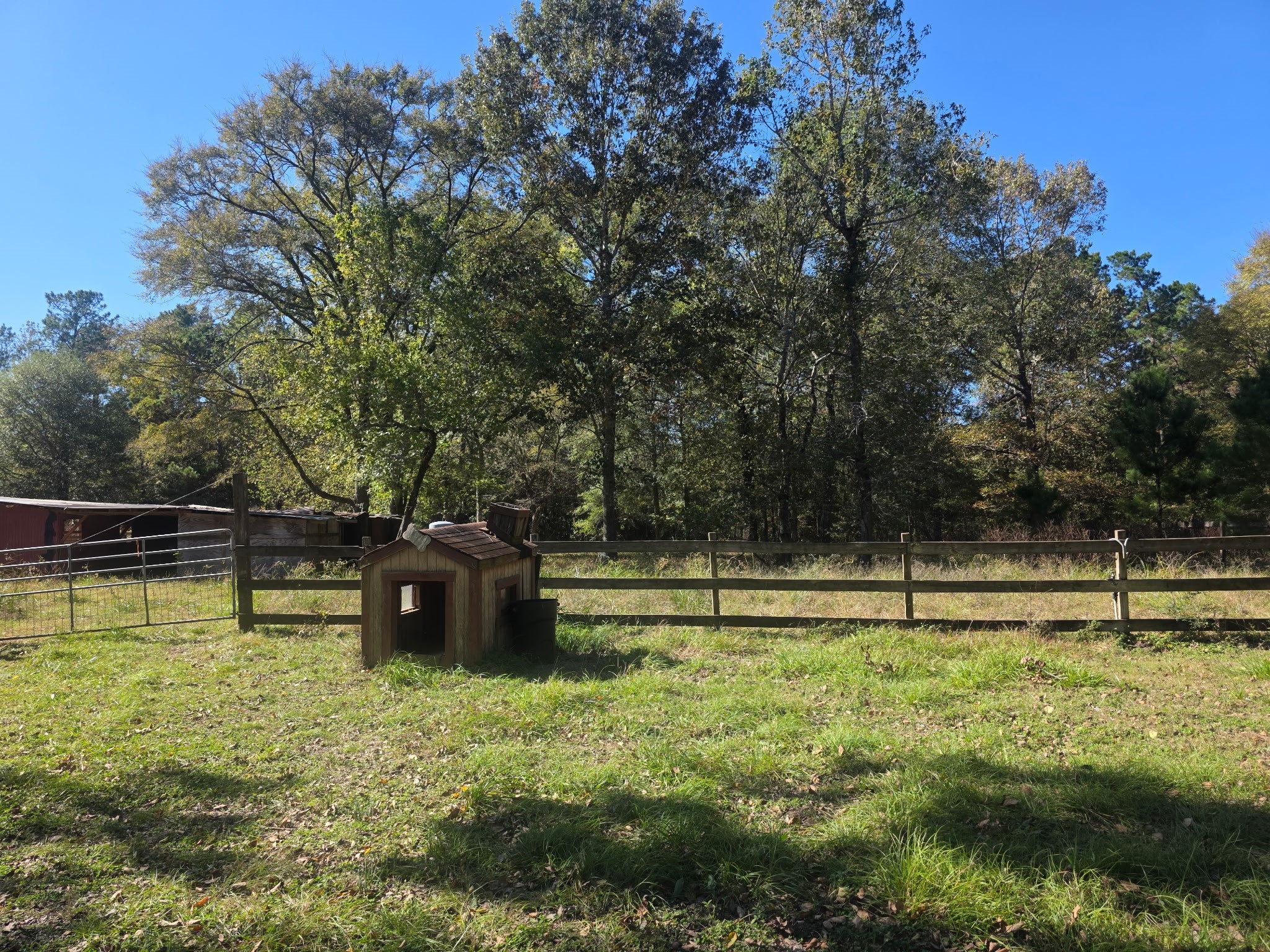 633 Ira Denson Road Coldspring, TX 77331 - Photo 6 of 27 a view of a green field
