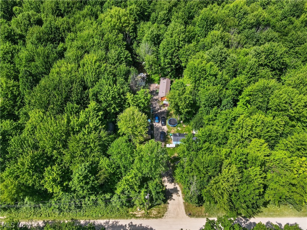 6737 Beckwith Road Pierpont, OH 44082 - Photo 11 of 37