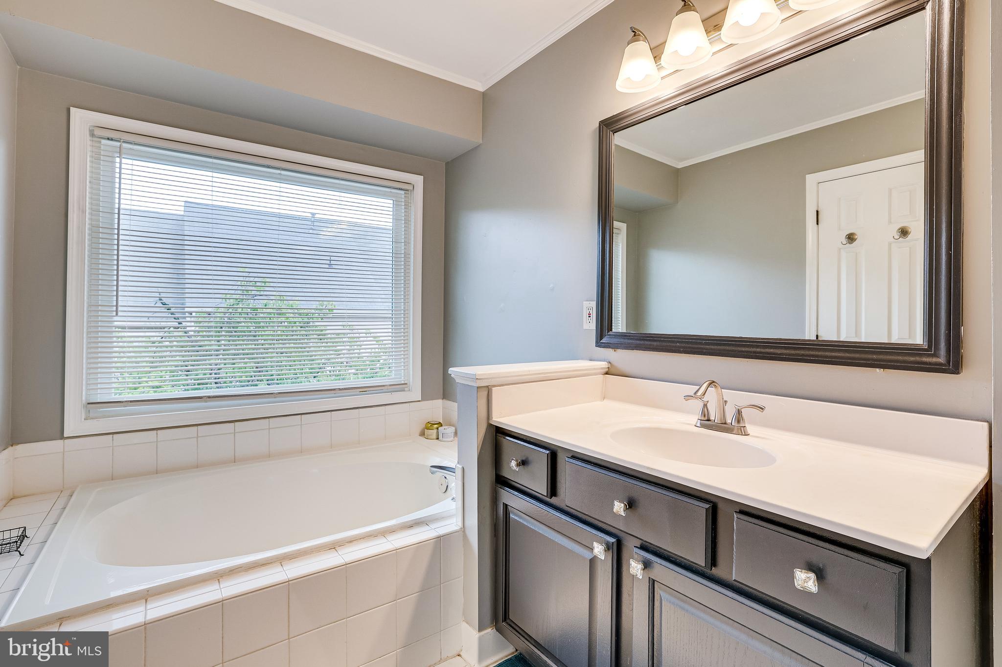 1709 Blue Flint Court Reston, VA 20190 - Photo 46 of 77 Primary bath with soaking tub
