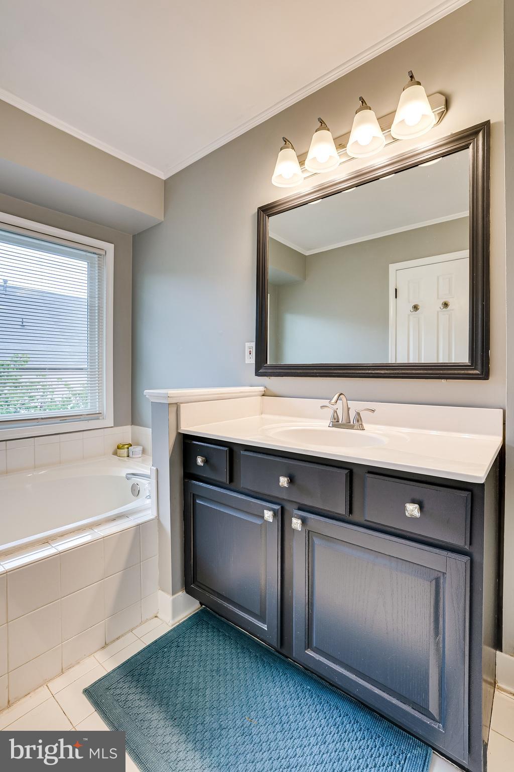 1709 Blue Flint Court Reston, VA 20190 - Photo 47 of 77 double sinks!
