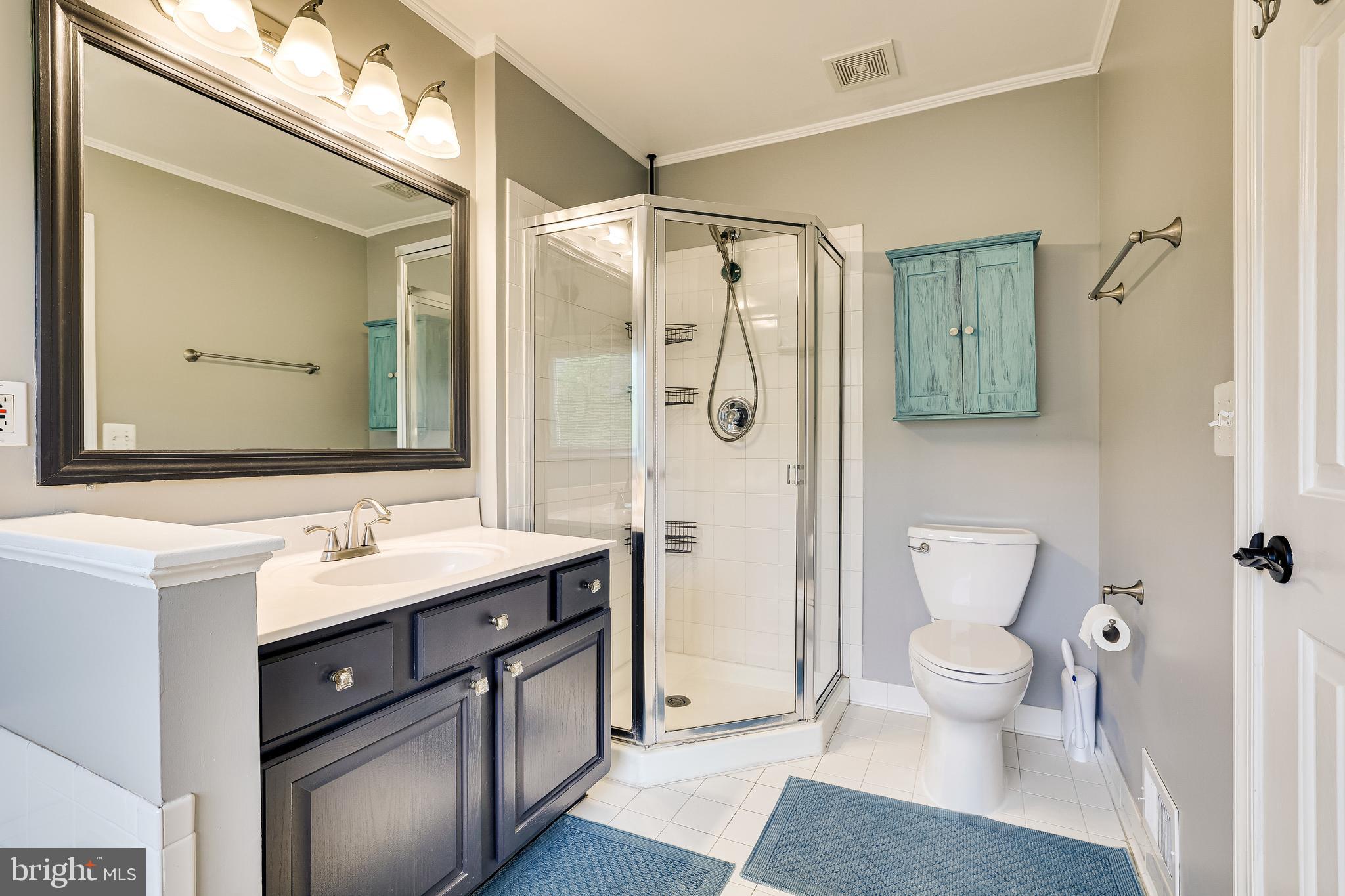 1709 Blue Flint Court Reston, VA 20190 - Photo 48 of 77 Gallery Image 48