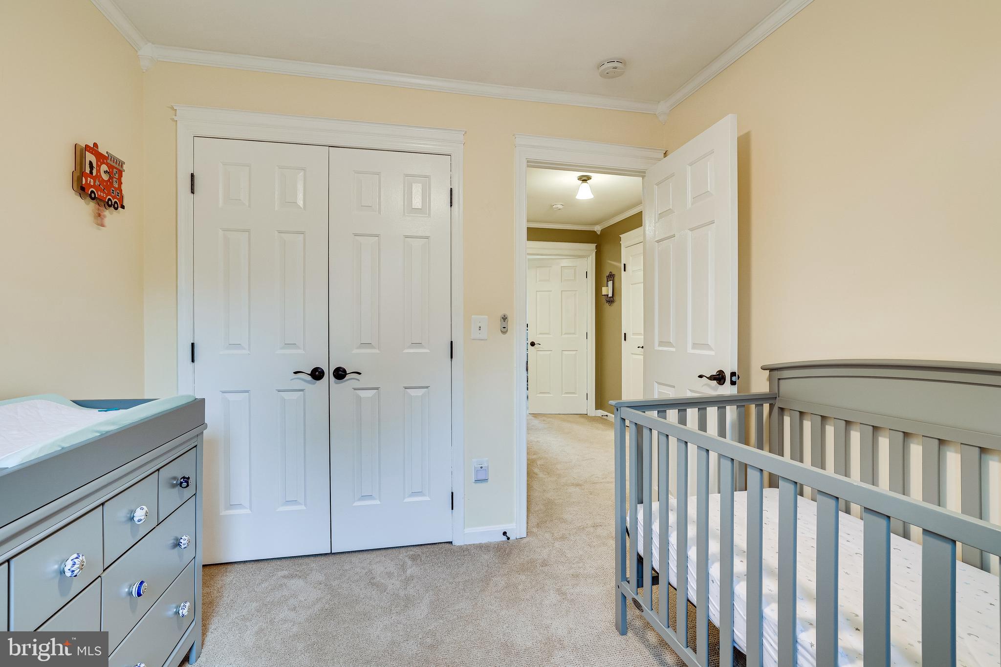1709 Blue Flint Court Reston, VA 20190 - Photo 57 of 77 Gallery Image 57