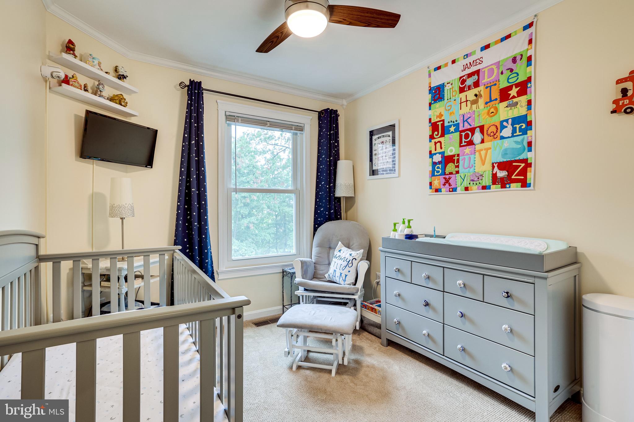 1709 Blue Flint Court Reston, VA 20190 - Photo 59 of 77 Gallery Image 59