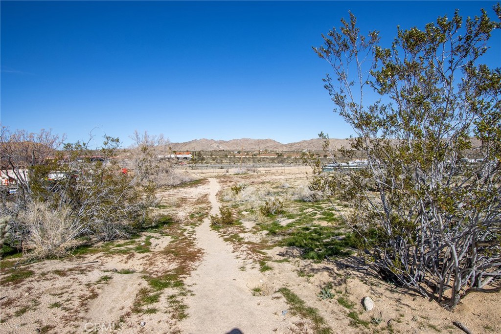 61480 Division Street Joshua Tree, CA 92252 - Photo 14 of 17