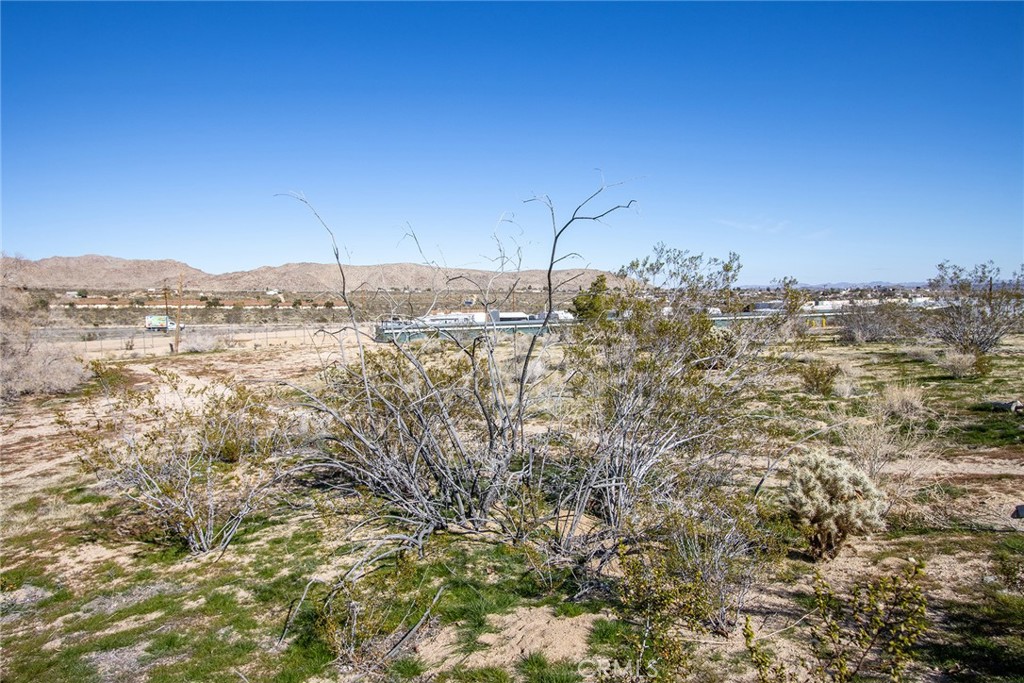 61480 Division Street Joshua Tree, CA 92252 - Photo 15 of 17 a view of a city