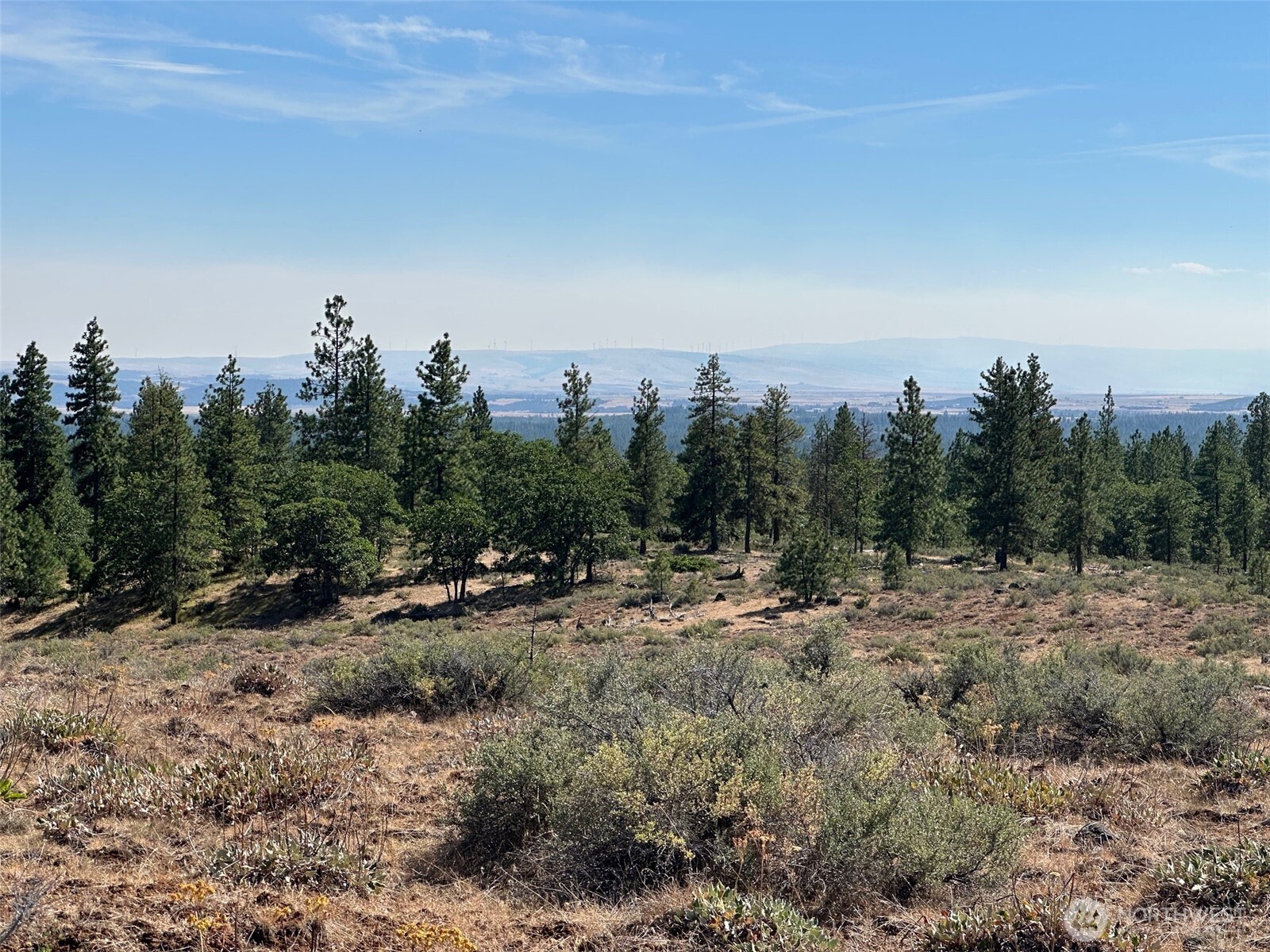 0 Three Mountains Meadows Goldendale, WA 98620 - Photo 11 of 11 a view of a covered with trees in the background