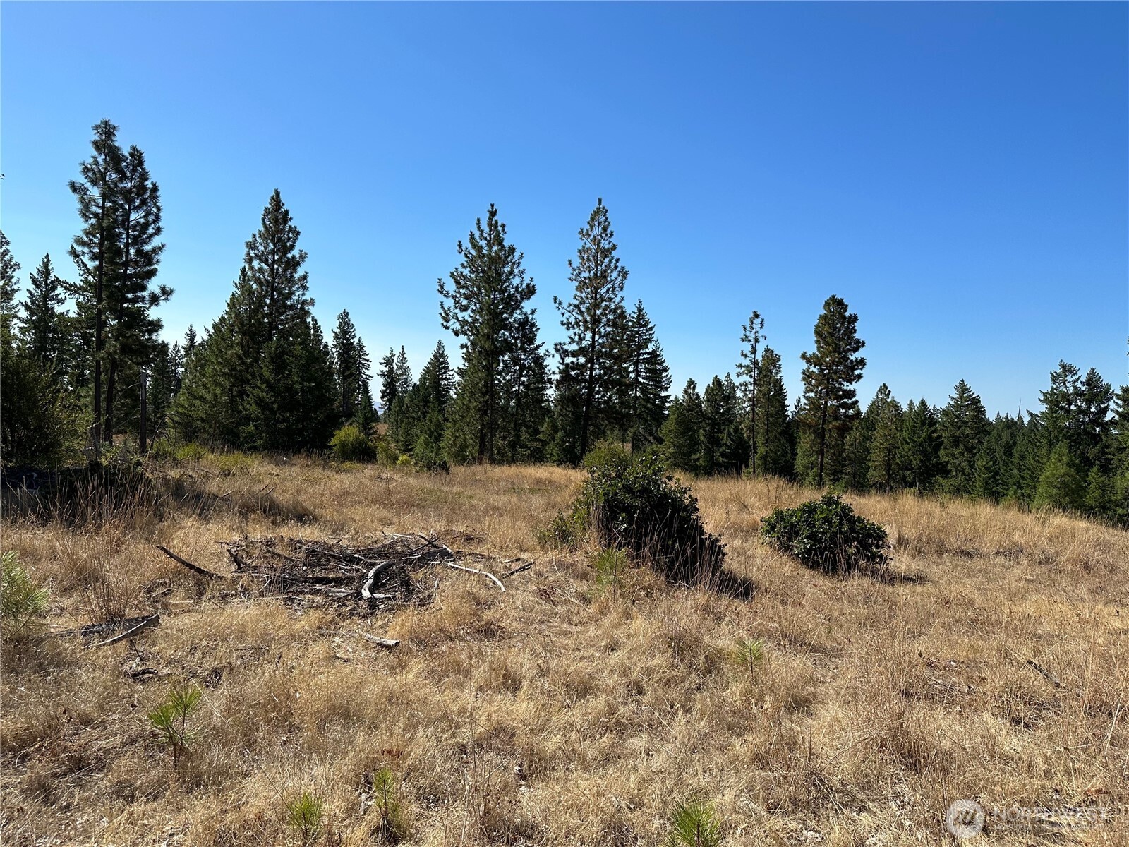 0 Three Mountains Meadows Goldendale, WA 98620 - Photo 2 of 11 a view of outdoor space with trees all around