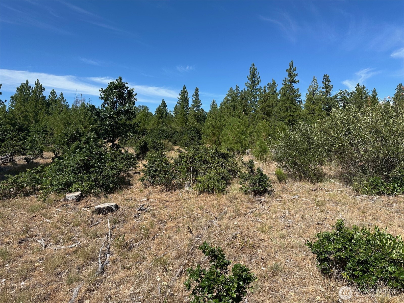 0 Three Mountains Meadows Goldendale, WA 98620 - Photo 5 of 11 a view of a yard with a tree