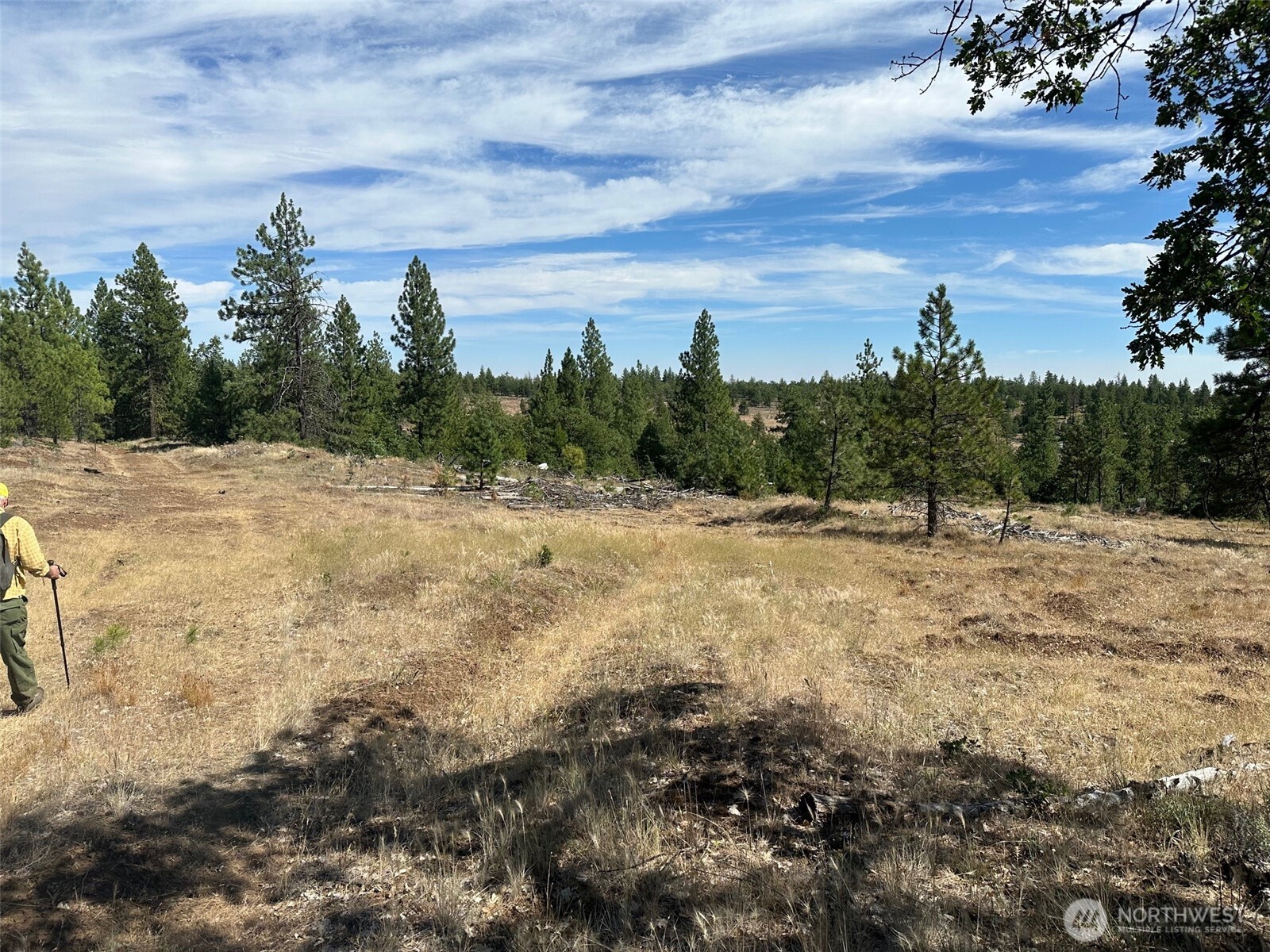 0 Three Mountains Meadows Goldendale, WA 98620 - Photo 6 of 11 a view of a yard with trees in the background