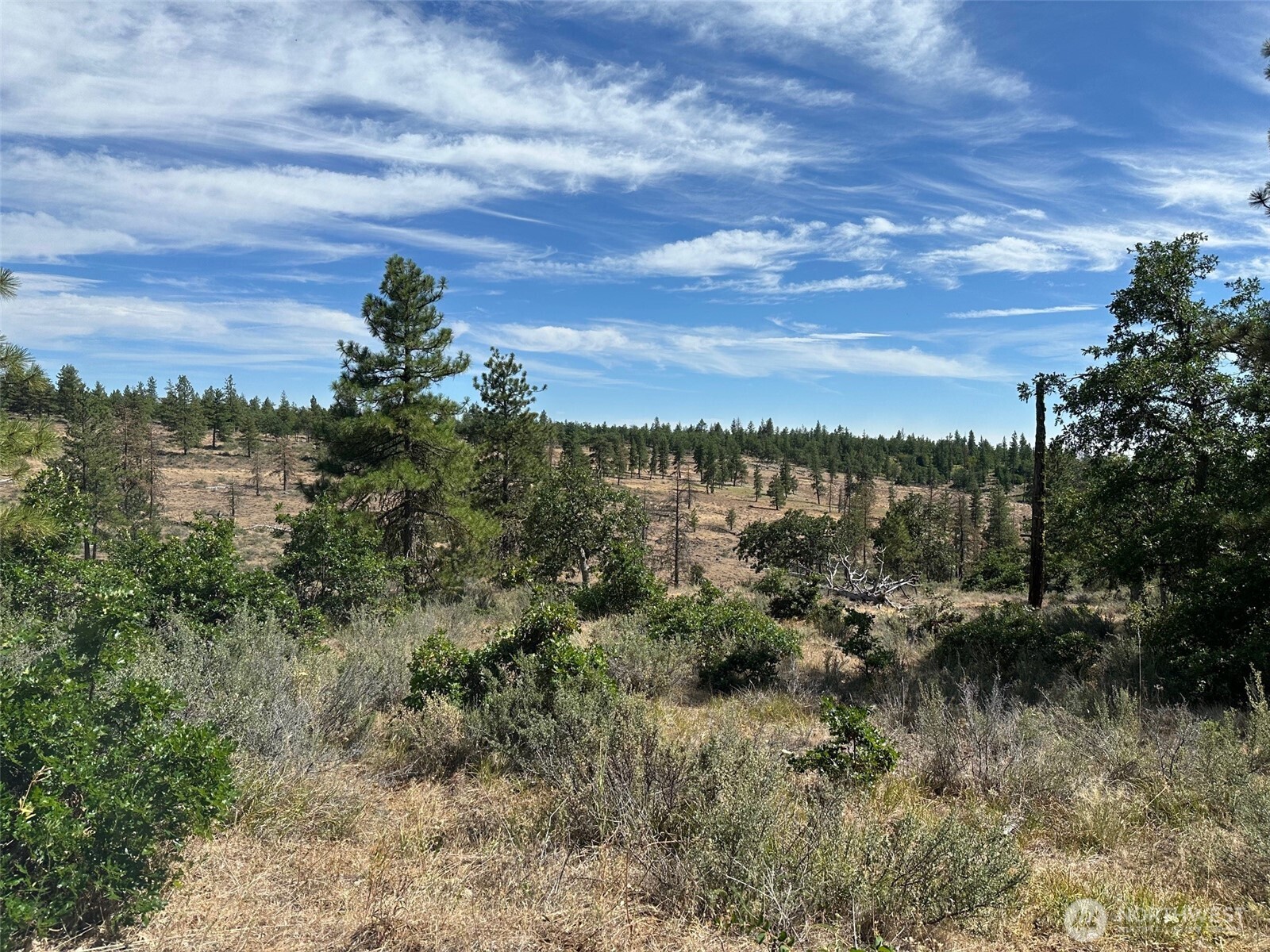 0 Three Mountains Meadows Goldendale, WA 98620 - Photo 7 of 11 a view of a lake with houses in back
