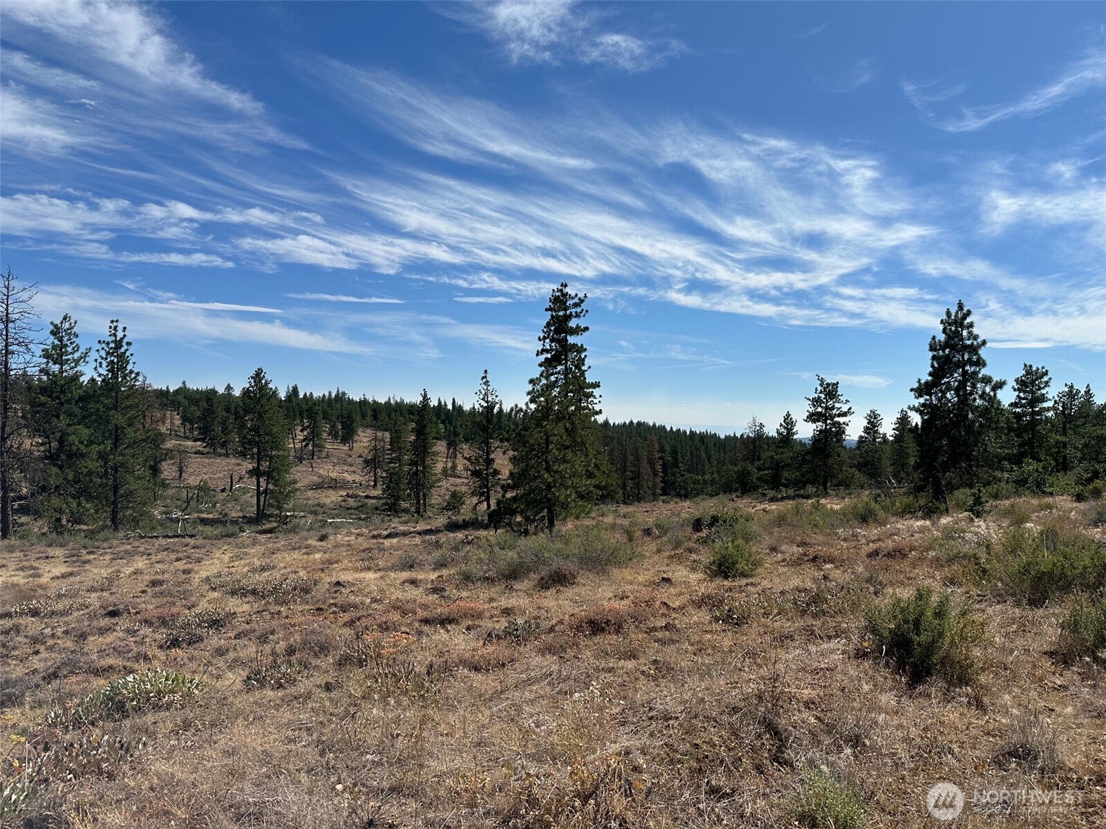 0 Three Mountains Meadows Goldendale, WA 98620 - Photo 8 of 11 a view of a dry yard with trees