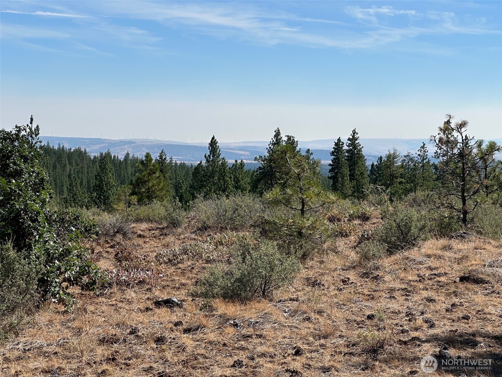 0 Three Mountains Meadows Goldendale, WA 98620 - Photo 9 of 11 a view of a city