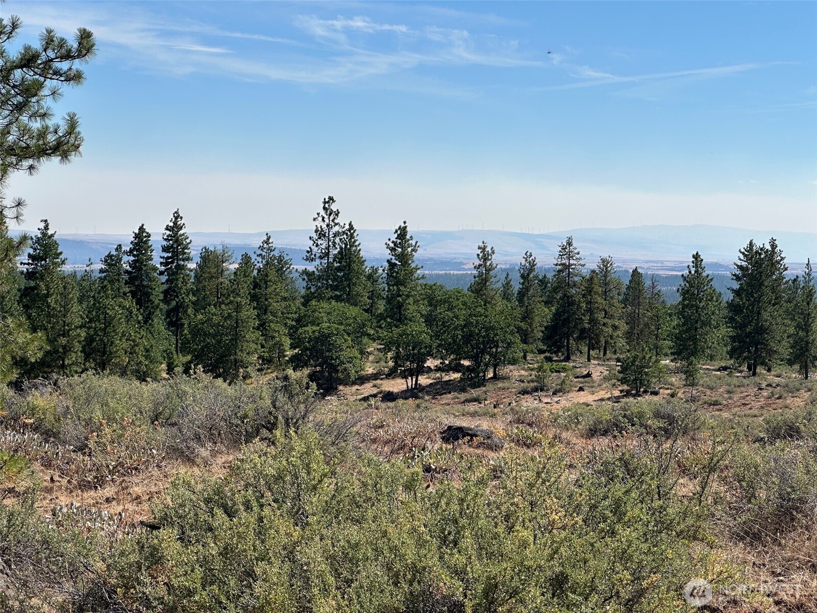 0 Three Mountains Meadows Goldendale, WA 98620 - Photo 10 of 11 a view of a dry yard with trees in back